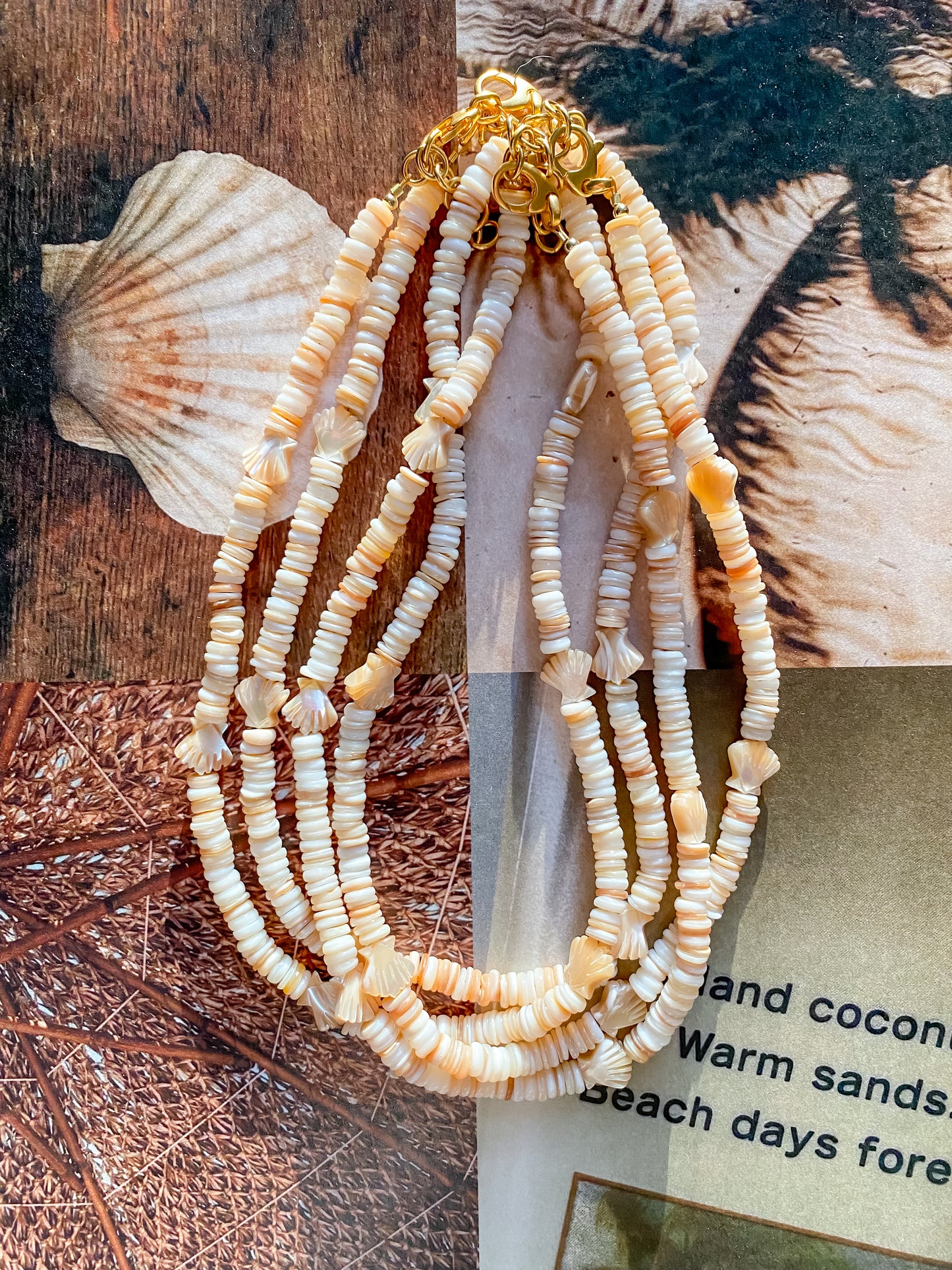 Sandy Seashell Strand Necklace