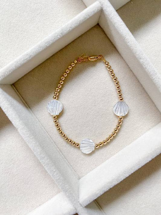 Triple Seashell