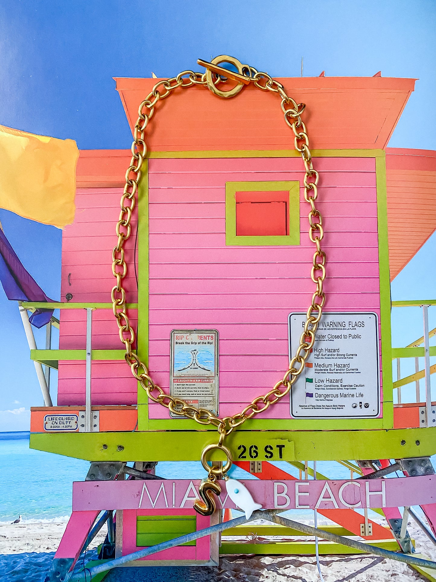 Interchangeable Charm Necklace