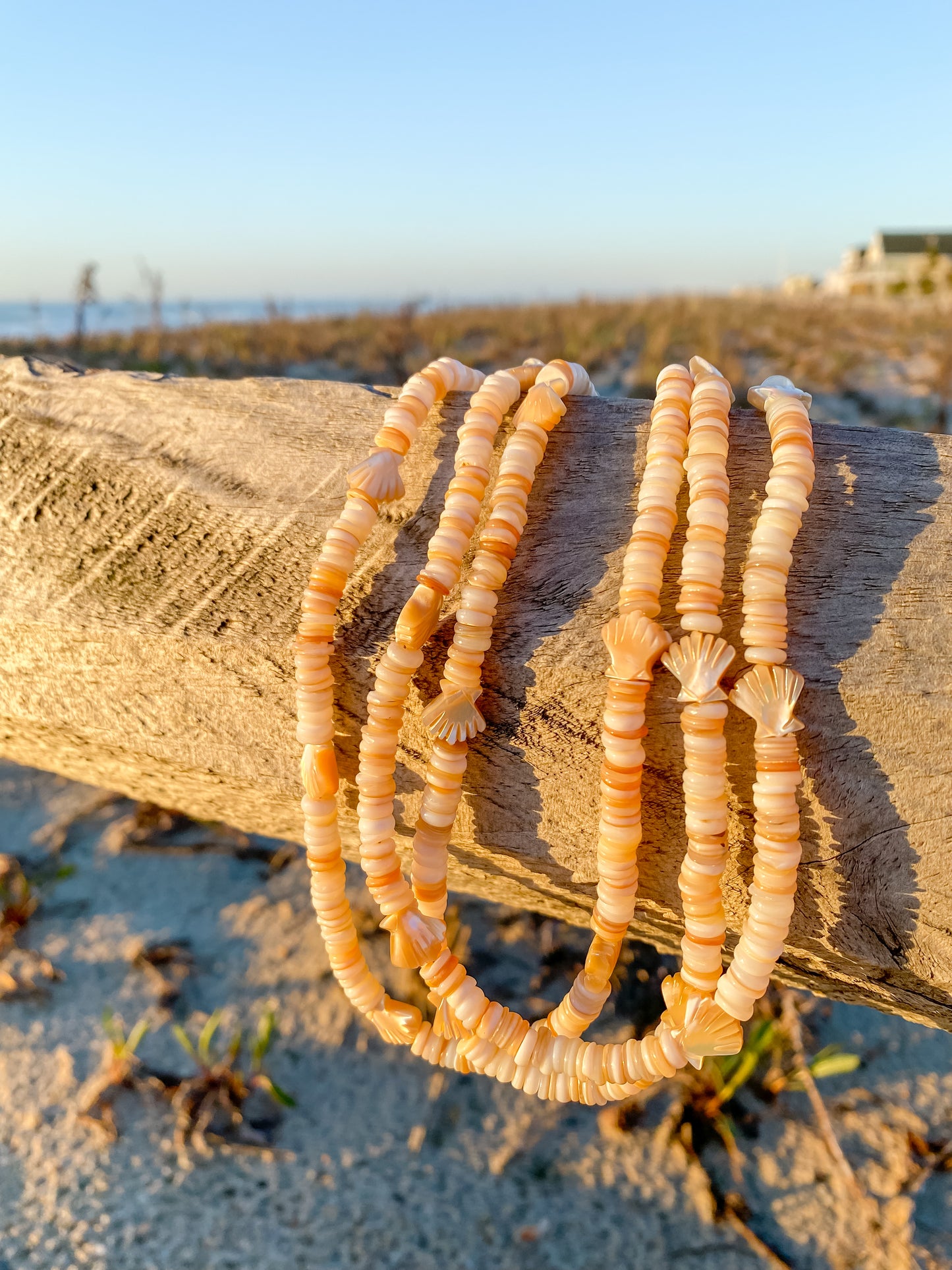 Sandy Seashell Strand Necklace